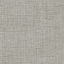 Andrea Rossi Gallinara 54317-9