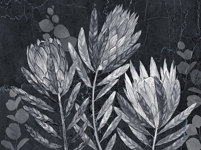 Фотообои Herbarium 19, HERBARIUM, Wall street