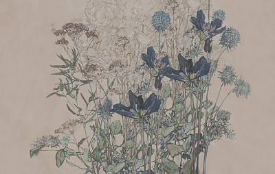 Фотообои PASCOLO 3, FLORA, Factura Фотообои PASCOLO 3, FLORA, Factura
