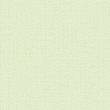 Обои в елочку Alessandro Allori Bruni 1002-35 RBN