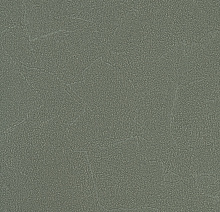 Andrea Rossi Spectrum Plus 54351-14
