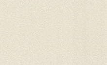 Rasch Almanach 975307